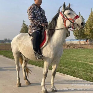 �V���±����R�����T�ˆጙ�ﰫ�_�RӖԒ�õ��T�˴��R�Bֳ���ۃr��