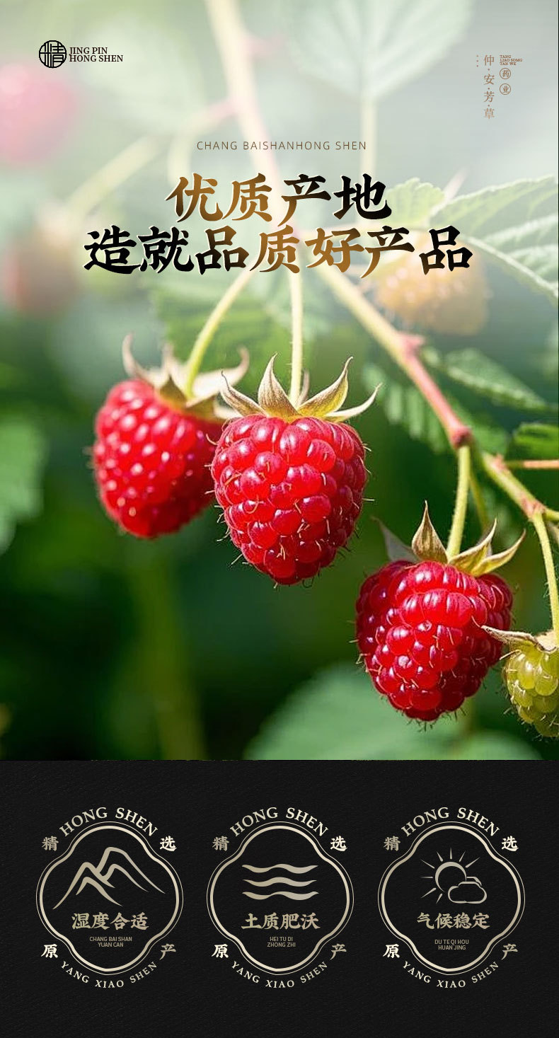 Raspberry Fruit (Rubus idaeus) β Dried Food Herb for Tea & Tonic, Wild-Harvested overview
