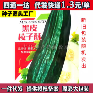 ��Ƥ�����ַN�������ֲ˹���Ʒ�N�Ѻ�Ƥ�ֹϴ���ˮ���߲˴�ȫ