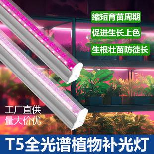 �ӹ�����t5ֲ����~�˶�ѿ���N����M�����L�������a���Դ�^���S