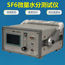 智能微水测量仪 六氟化硫气体微量水份测定仪 SF6气体微水仪