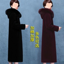 2026�����¿����Ƥ����Ů�L���a�Ӻ�º���ë�I�BñƤ������