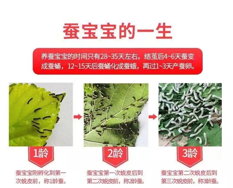 c3312b32-4bc9-4b63-9547-8904f979db7a.jpe
