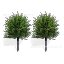 ���R�d�W�������}�Q�����Gֲ����ɰصز���⻨�@�bҾ��b�