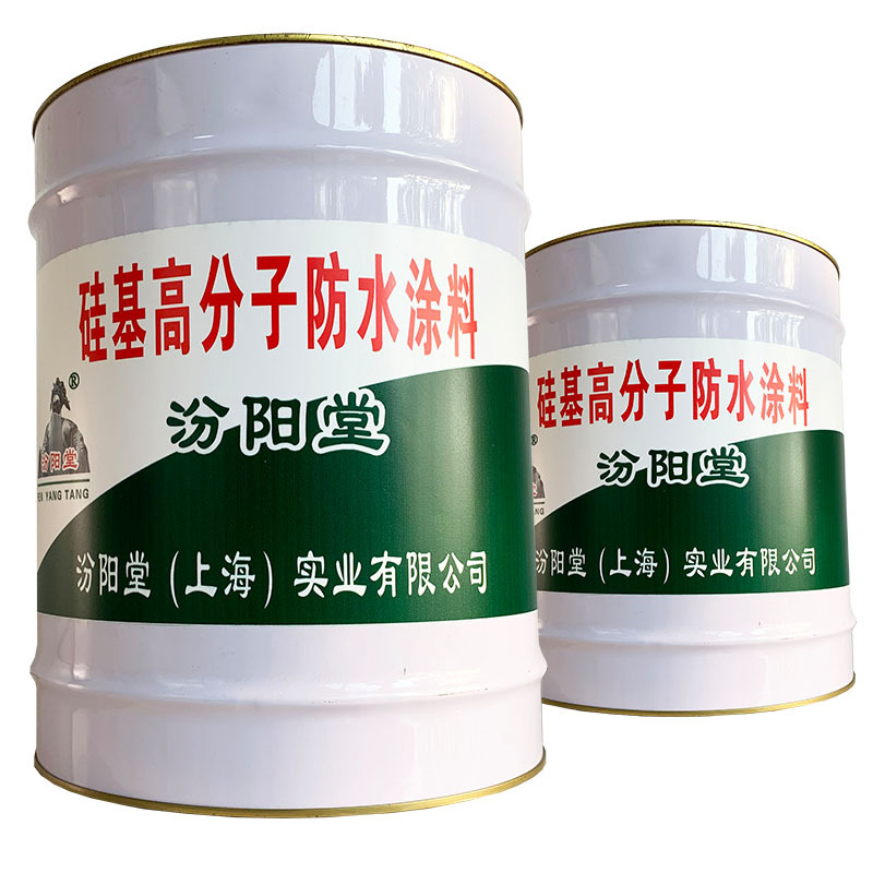 硅基高分子防水涂料、放心订购!硅基高分子防水涂料、厂家直销
