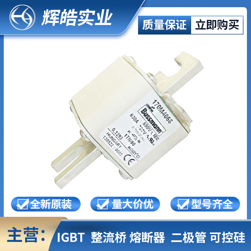 170M1569 170M1570 熔断器 熔断器配件 保险丝 电子元器件