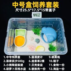 寄居蟹饲养套装套餐新手爬宠塑料饲养盒懒人宠物加厚大号宠物蟹