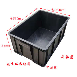 ����ѿˮ����Nֲ����ѿ�������P�o������ˮ����̨�N�˼���