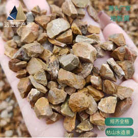 地板黄碎石石子水磨地水洗石园林庭院营地用景观造景黄石子