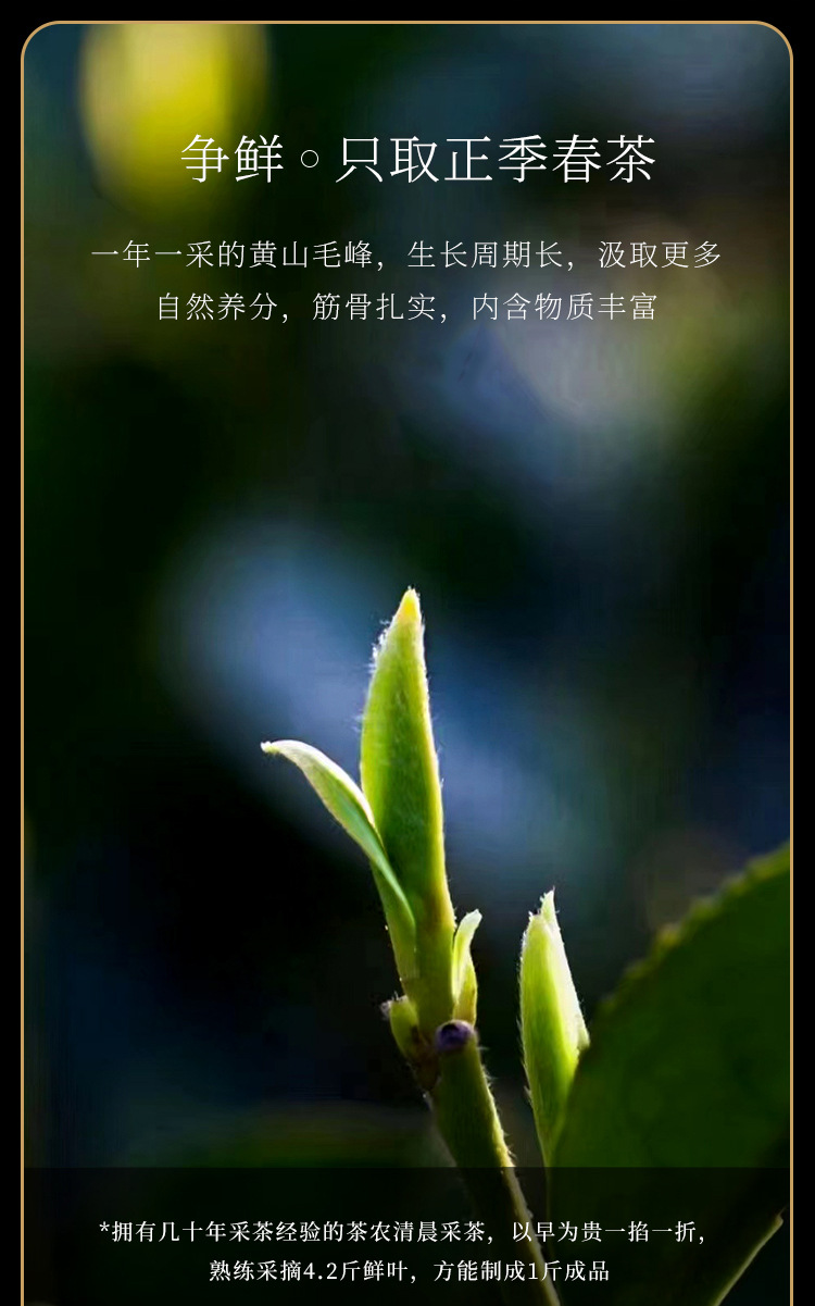 微信图片_20230321141856_04