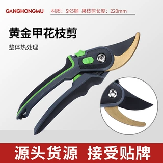 亚马逊花艺剪刀剪枝专用园林果树修枝剪省力剪SK5园艺剪枝的剪刀
