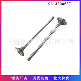 油泵、油嘴;其他发动系统;活塞/活塞环