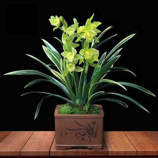 �m���ļ���߅�m���� �������҃��_�����P�� �ļ�����ֲ���������l