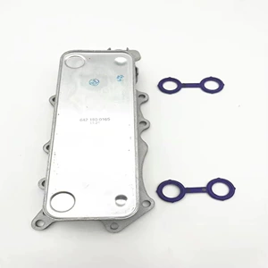 Mercedes-Benz M642 Dizel Mühərriki Yağ Radiatoru Soyuducusu W164 GL350 üçün A6421800165