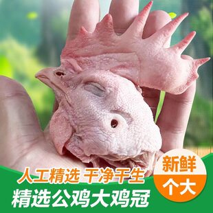 ������u�^���u�^��t�u�������r���ɢ�B���������u�^�u�u�^