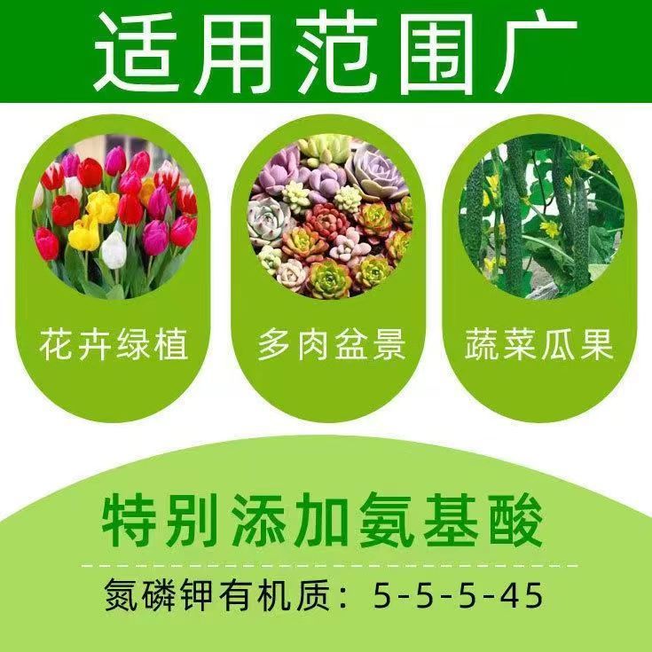 奥绿芬6