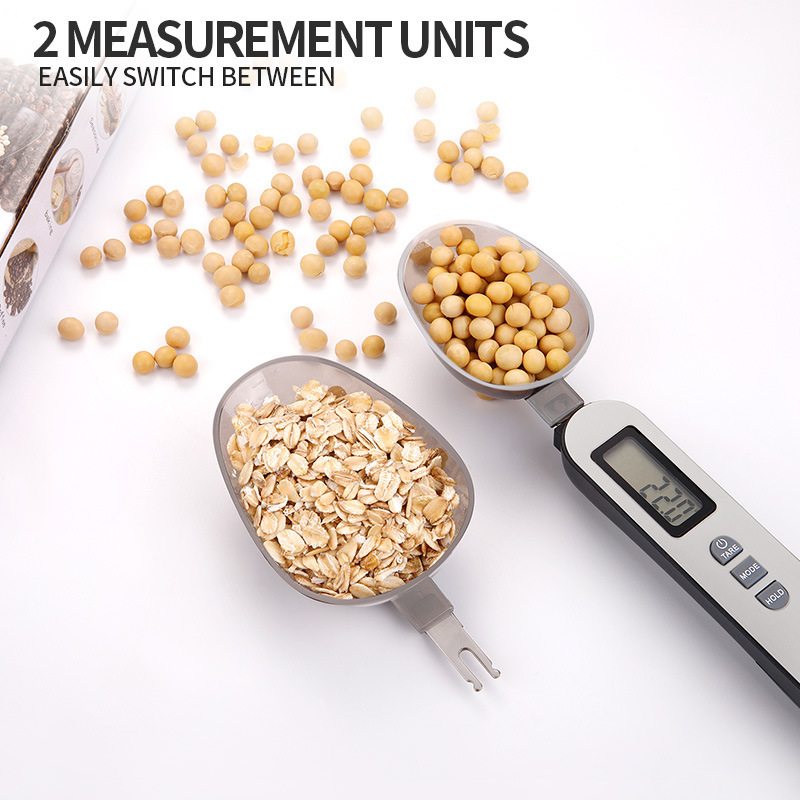Special for Foreign Trade 0.1g Double Spoon Measuring Scale 201 Steel Replaceable Measuring Spoon Medicinal Coffee Supplement Accurate 500g Measuring Range