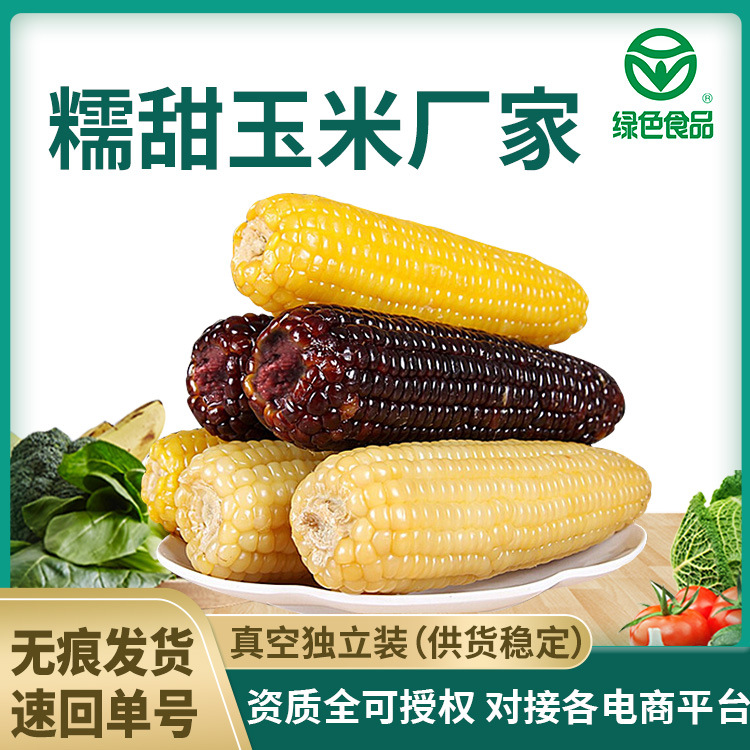 Xinzhou Sweet corn 10 Root installation vacuum precooked and ready to be eaten Black Corn Yellow corn Sticky corn Sweet corn wholesale