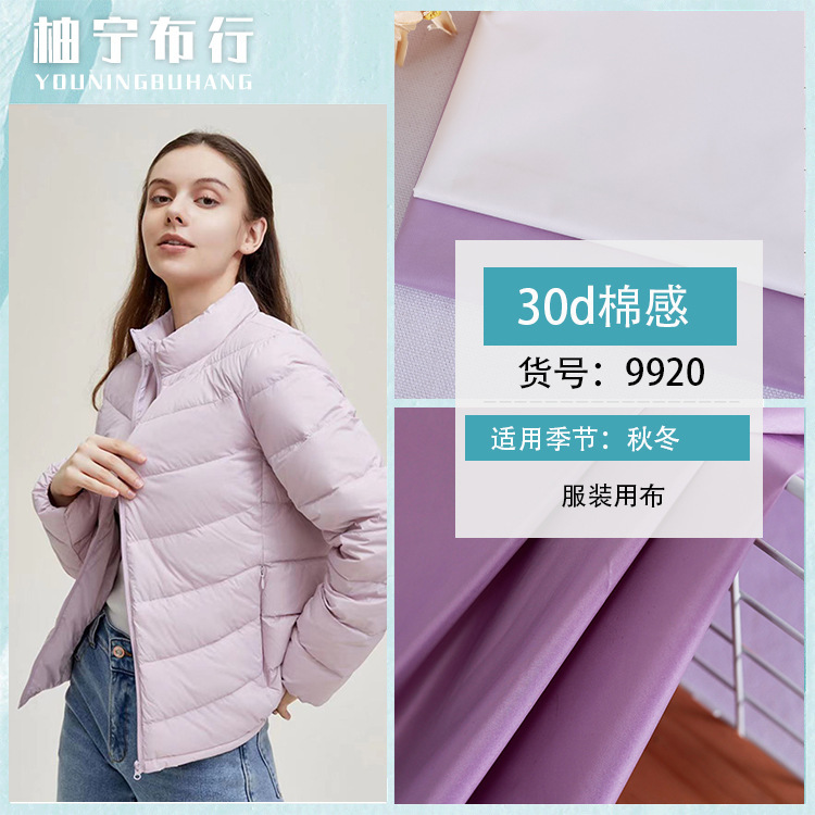 30D Cotton-Like Spring Yarn 400t Polyester High-End Lightweight down Jacket Fabric down Jacket Material Outer Shell 30D Cotton-Like Spring Yarn 400t Polyester High-End Lightweight down Jacket Fabric down Jacket Material Outer Shell