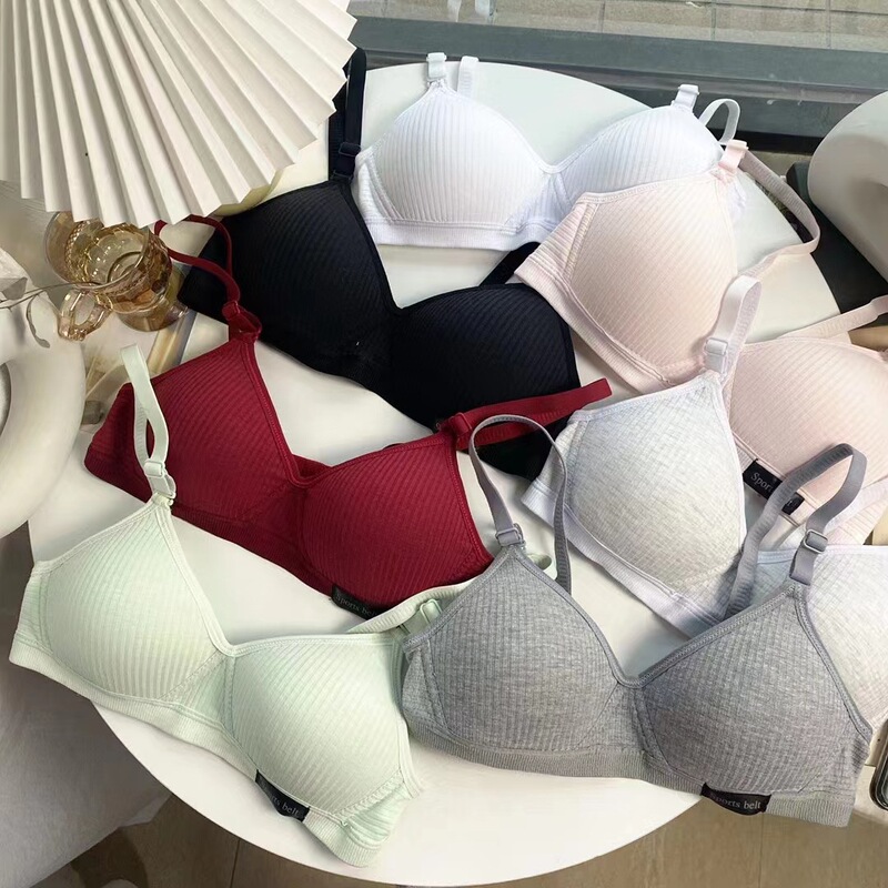 Comfortable Seamless Underwear for Girls in Their Developmental Stage, High School Students, Small Busts, Push-Up, No Underwire Bra, Thin Style