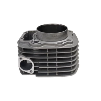 piston cylinder CRF250F12100-K31-900 – Cylinder and parts