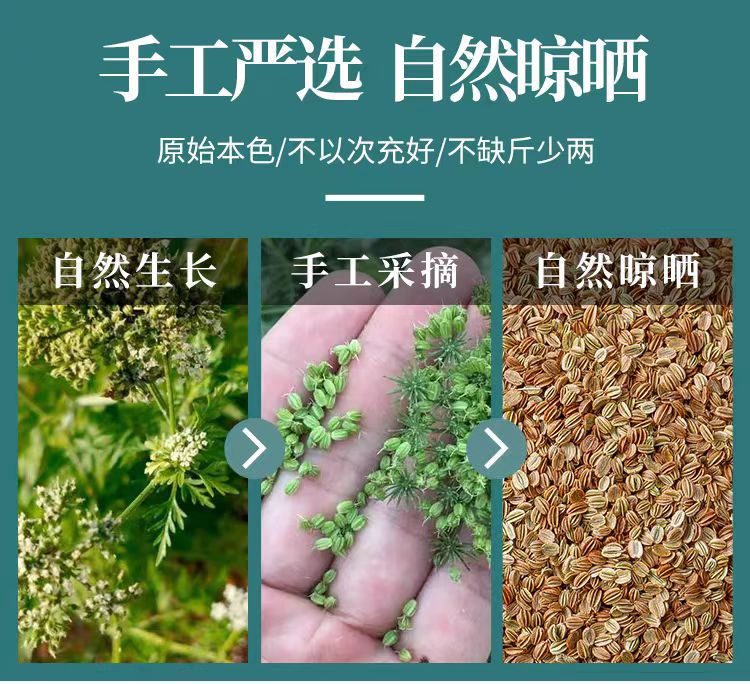 She Chuang Zi (Cnidium monnieri) — Dried Fruit for Foot Soak & Herbal Use, 500g key features