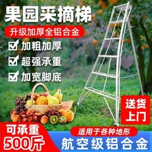 �X�Ͻ���@���ӈ@ˇ���_���r�ù����ժ���޼��ݵʈ@��������