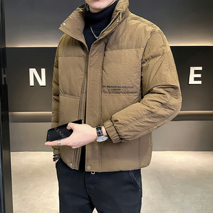 9093 coffee 2024 winter new men's grainy new fabric stand collar warm down