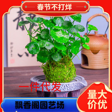 һ�����l̦�\���~�X��ˮ����B�҃���ؔ�����՚�С�����k���Ҳ��