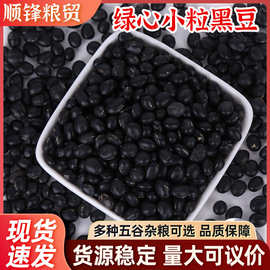 绿心中粒黑豆现货批发青瓤中粒黑豆（实物与图片不符）东北小黑豆