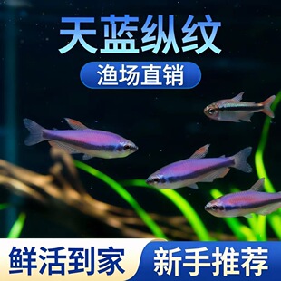 �{�������~���w�{�۟�С�͟����~�Ꭷ�^�p�~Ⱥ���Ϻ��O�����l