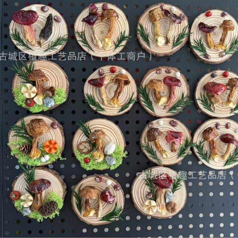 云南真蘑菇冰箱贴菌子真植物果实木头标本装饰手工创意工艺品滴胶|undefined