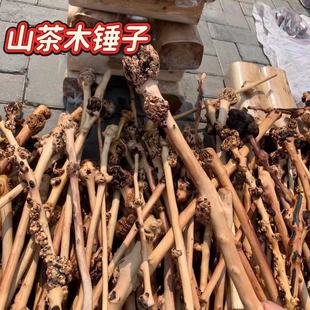 ɽ��ľ�ƽ����N��Ϻڹ�ľ��Ħ�S���������ľ�|�ñ��N���l