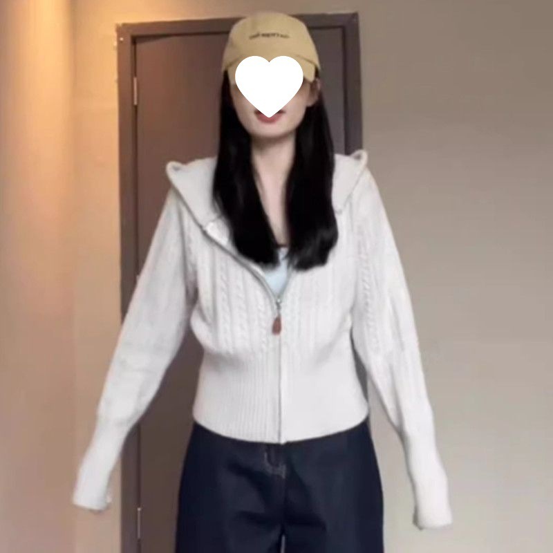姿子温柔风麻花连帽针织开衫女秋冬新款慵懒拉链毛衣外套短款上衣|undefined