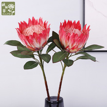 仿真长枝3D帝王花 植绒婚庆花装饰场景布置摆件 胶片帝王花仿真花