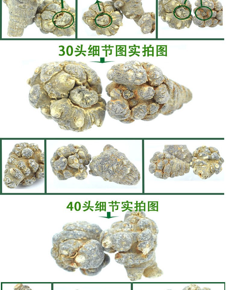 San Qi Notoginseng Root Tian Qi Dried Whole Roots Wenshan Panax notoginseng for Decoction and Powder quality and texture