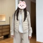 立领秋冬季新款拼接款棉服
