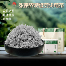免费打样设计贴牌莓茶张家界特级芽尖湖南永顺藤茶云雾山野生梅茶