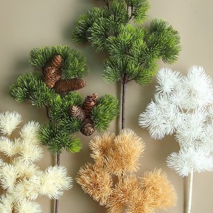 �ɷ�������°ؘ�֦�ٻ��ɘ�������֦���߸ɻ����ϻ��ɘ��~��