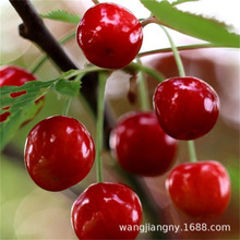 ������ �����������l�����������������������޽��� ���Ҙ���