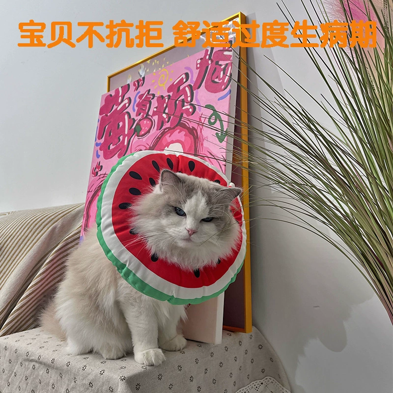 Трансграничное кольцо Элизабет милый фруктовый кошачий ошейник кольцо позора против лизания стерилизация укусов зоотовары