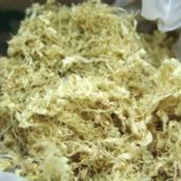 批发 竹茹 竹茹粉  各种规格