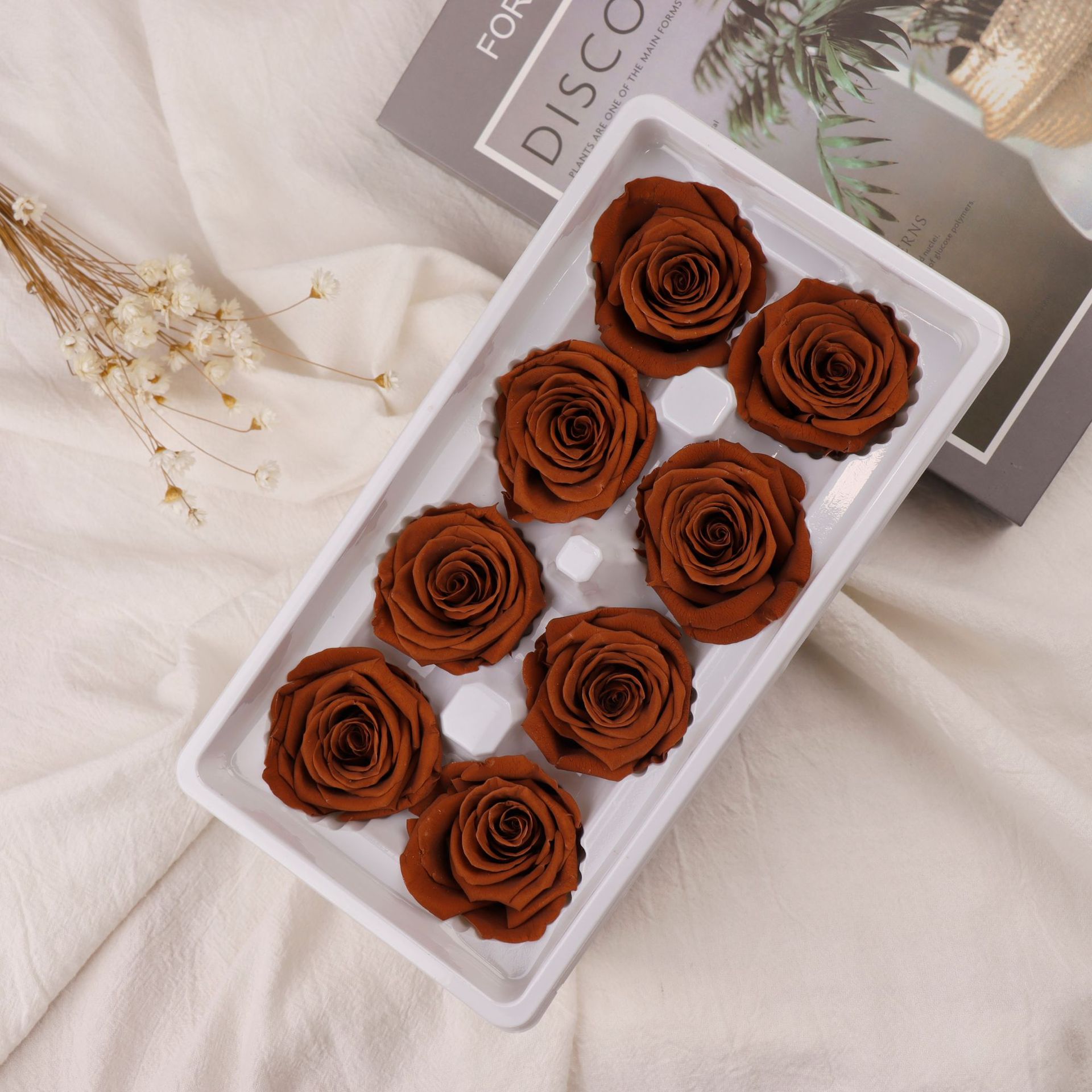 Grado A rojo marrón 4-5cm-8 flores/caja