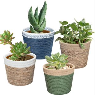 Cross-Border Hot Selling Straw Flower Pots, Succulent Flower Pots, Household Decoration Seedling Pots, Cute Succulent Flower Pots, Small Flower Pots