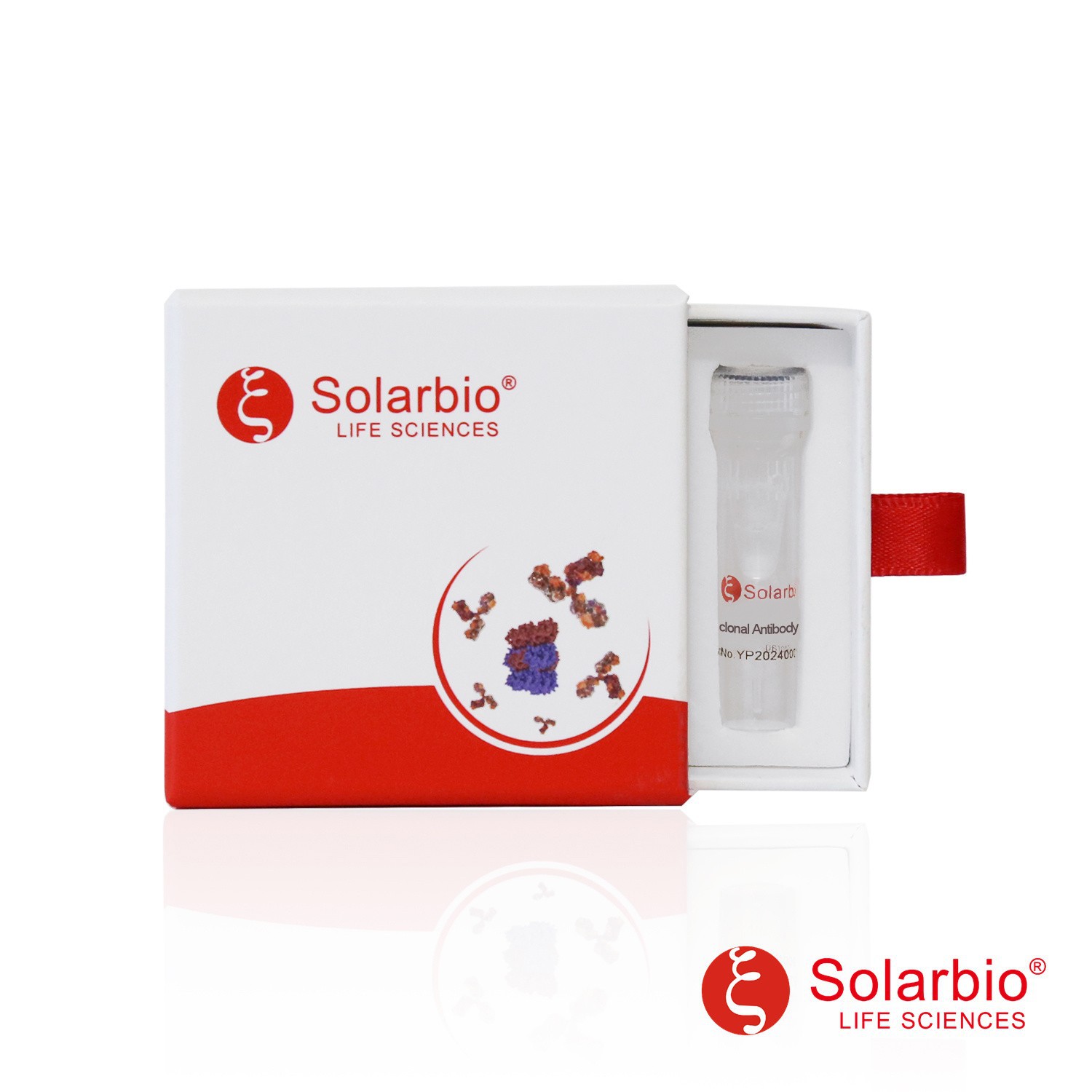 K200015M Anti-mCherry tag Monoclonal Antibody 科研用