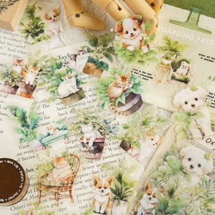 İī�Gֲ�ղ���ϵ��ˮ��ֲ���N����  �֎�DIY�b��ƴ�N�ز�6��