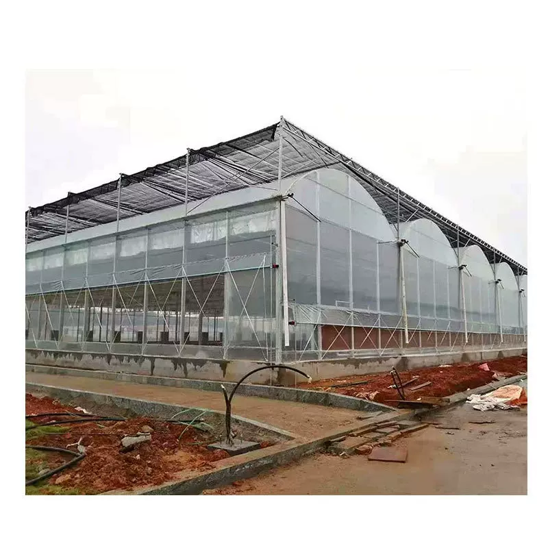 连栋薄膜温室养殖大棚镀锌骨温室育苗大棚瓜果采摘大棚薄膜大棚
