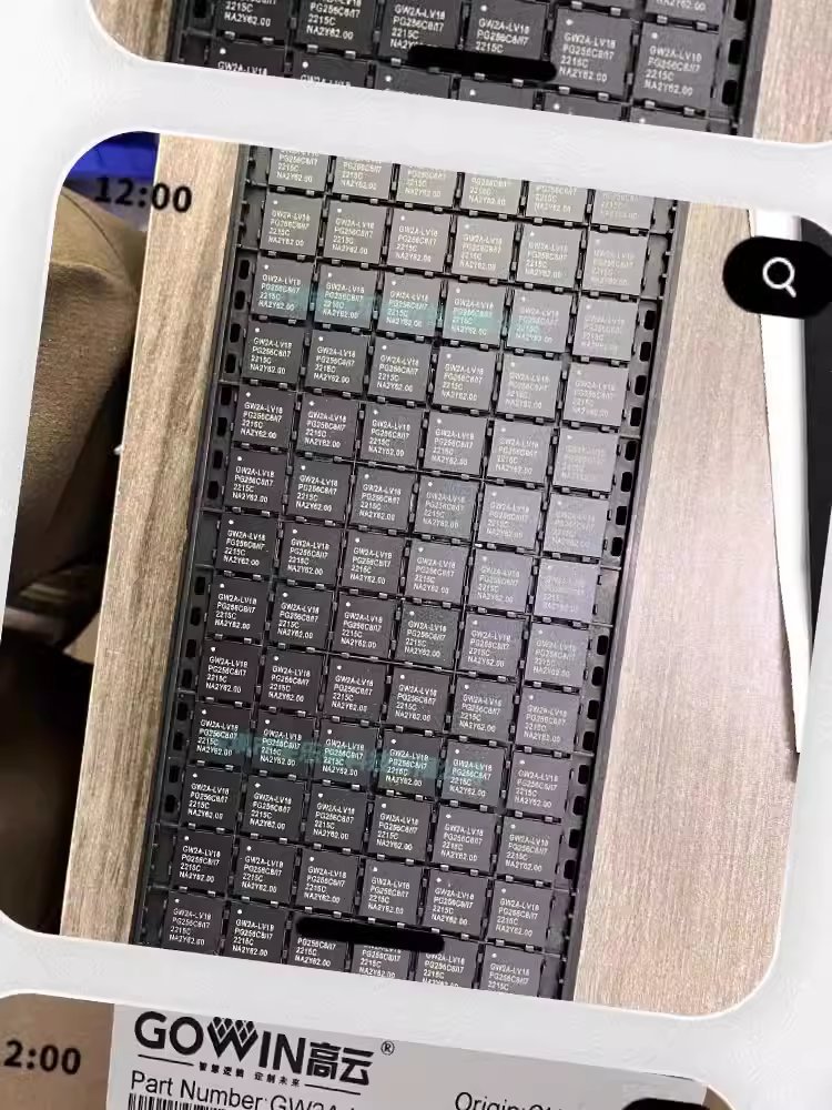 gw2a-lv18pg256c8-i7-gowin-pbga-256