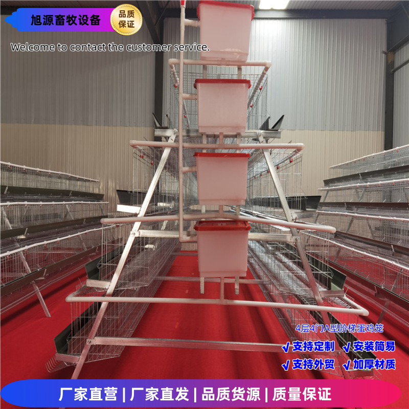 Una jaula de huevos de 4 capas de 4 puertas, una jaula de escalones tipo A, tecnología de galvanizado en frío / galvanizado en caliente, crianza de gallinas