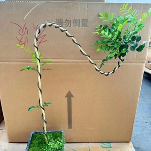 ļͥԺ҃kҾǧ辰ܾGֲ